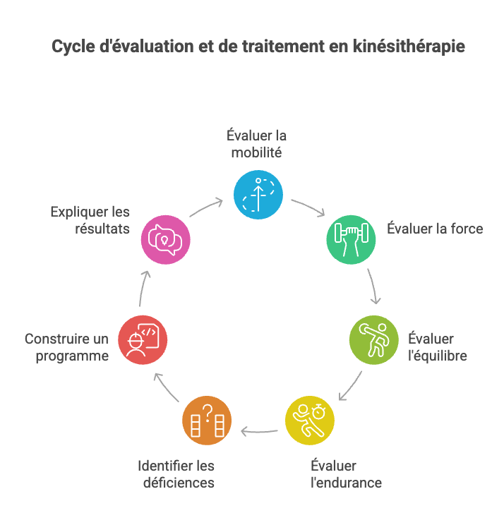 Kiné à Tournai – cycle d’évaluation et de traitement Cycle d’évaluation et de traitement utilisé par un kiné à Tournai pour une prise en charge personnalisée